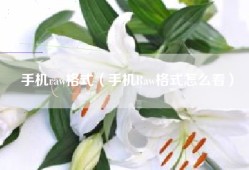 手机raw格式（手机Raw格式怎么看）