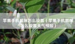 苹果手机屏保怎么设置（苹果手机屏保怎么设置天气预报）