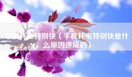 手机耗电特别快（手机耗电特别快是什么原因造成的）