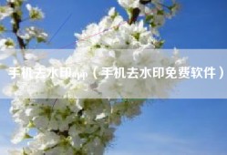手机去水印app（手机去水印免费软件）