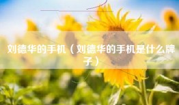 刘德华的手机（刘德华的手机是什么牌子）