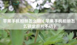 苹果手机相册怎么锁（苹果手机相册怎么锁定照片不动）