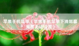 苹果手机菜单（苹果手机菜单下滑屏幕亮度无法设置）