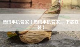 腾讯手机管家（腾讯手机管家app下载安装）