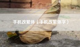 手机改繁体（手机改繁体字）