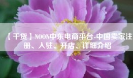 【干货】NOON中东电商平台-中国卖家注册、入驻、开店、详细介绍