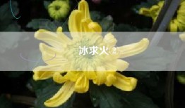鑽冰求火②