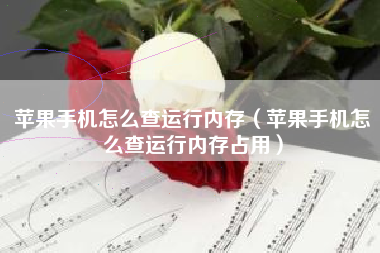 苹果手机怎么查运行内存（苹果手机怎么查运行内存占用）