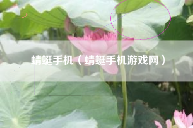 蜻蜓手机（蜻蜓手机游戏网）