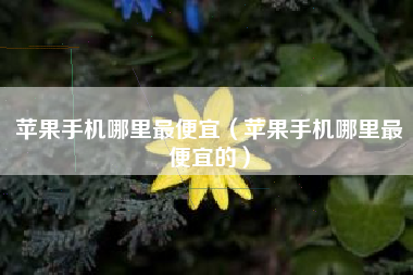 苹果手机哪里最便宜（苹果手机哪里最便宜的）