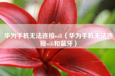 华为手机无法连接wifi（华为手机无法连接wifi和蓝牙）