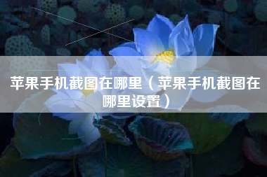 苹果手机截图在哪里（苹果手机截图在哪里设置）