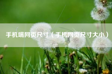 手机端网页尺寸（手机网页尺寸大小）