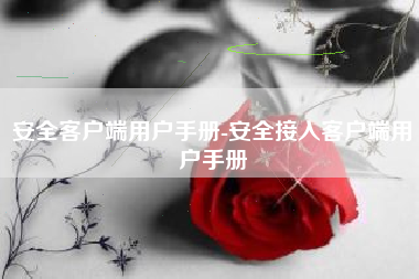 安全客户端用户手册-安全接入客户端用户手册